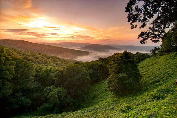 istockphoto-505535371-612x612.jpg